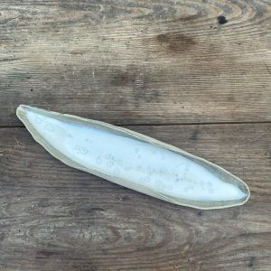 Patera kanoo 1.1